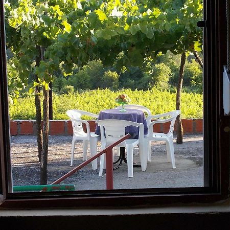 Guesthouse Feel Lake Virpazar Zewnętrze zdjęcie