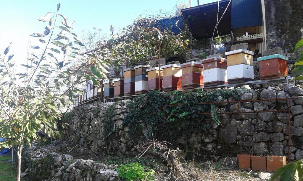 Guesthouse Feel Lake Virpazar Zewnętrze zdjęcie