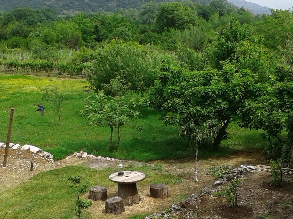 Guesthouse Feel Lake Virpazar Zewnętrze zdjęcie