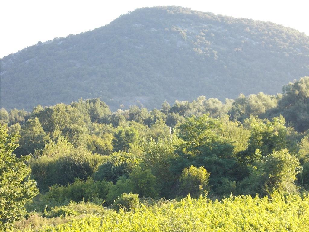 Guesthouse Feel Lake Virpazar Zewnętrze zdjęcie