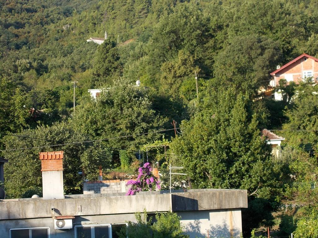 Guesthouse Feel Lake Virpazar Zewnętrze zdjęcie
