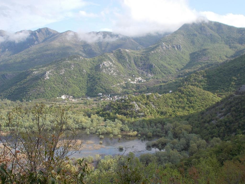 Guesthouse Feel Lake Virpazar Zewnętrze zdjęcie